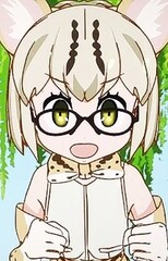 Margay