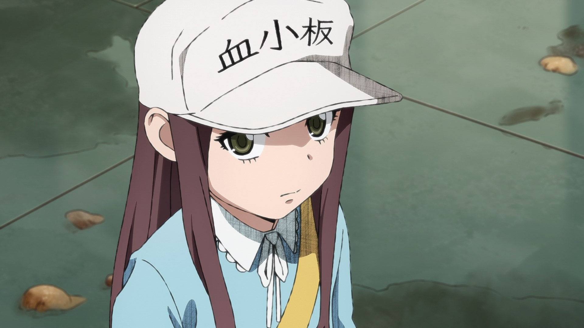 Hataraku Saibou Black / Аниме