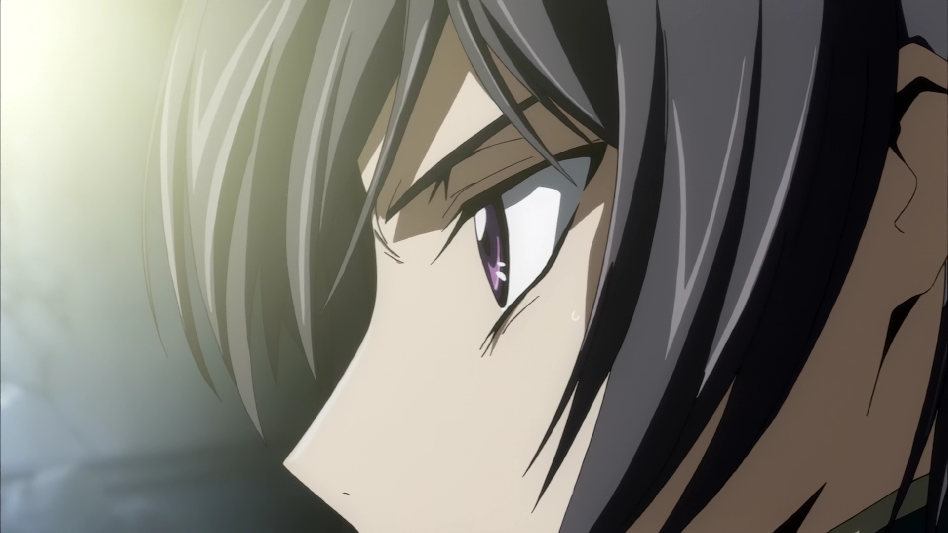 Code Geass Code Geass - Lelouch da Rebelião III — Glorificação