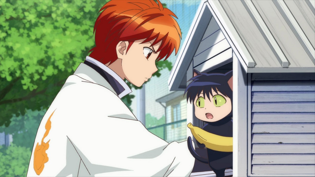 Kyoukai no Rinne 3rd Season / Аниме