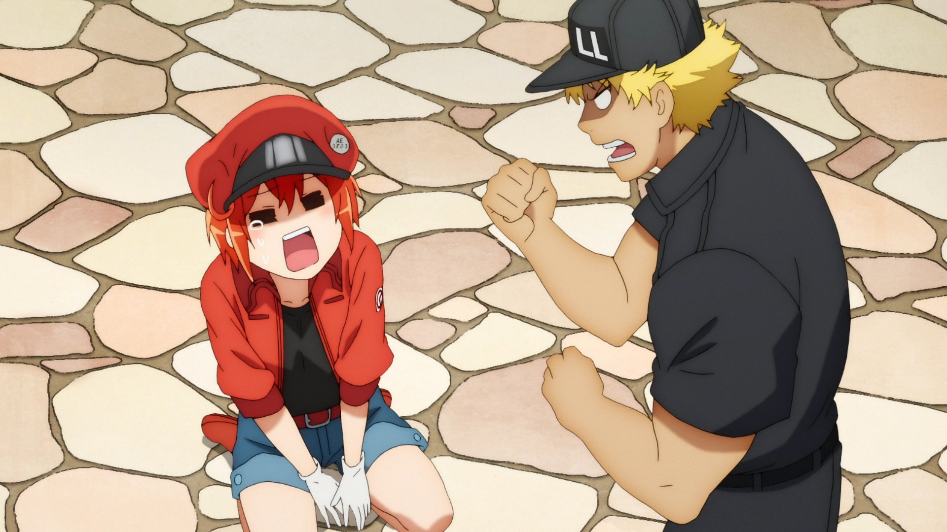 Hataraku Saibou!! / Аниме