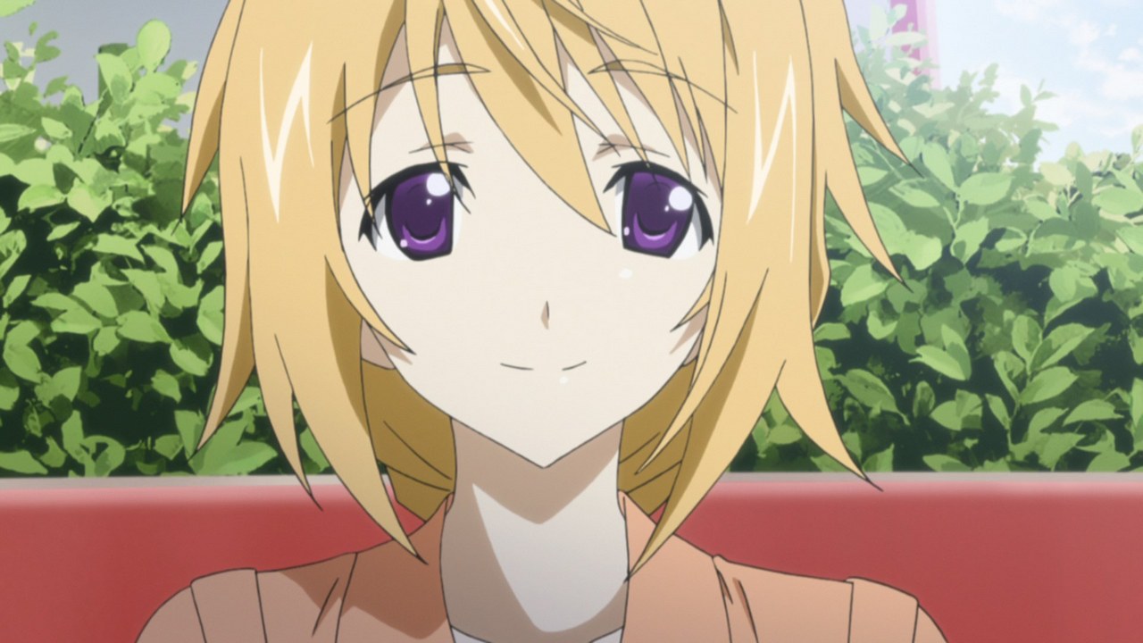 IS: Infinite Stratos 2 / Аниме