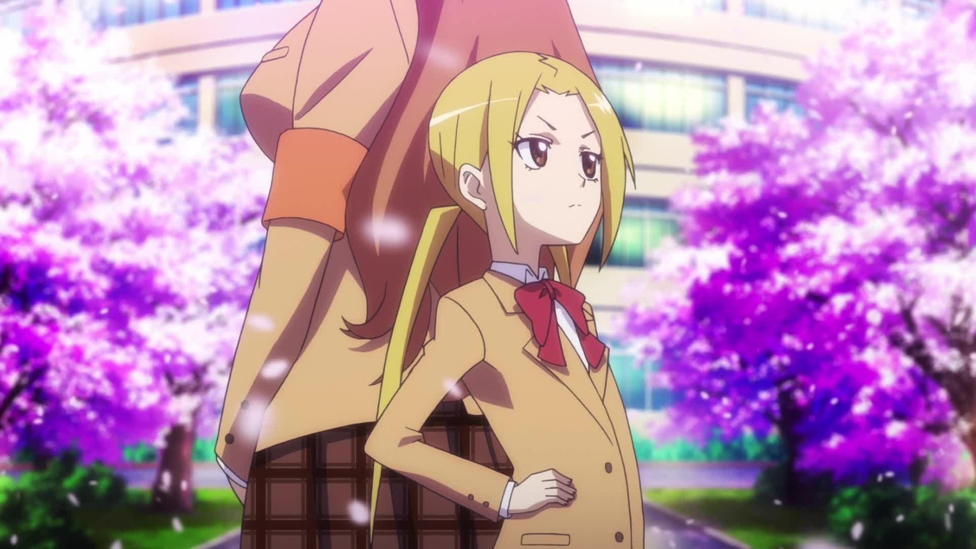 Seitokai Yakuindomo / Аниме