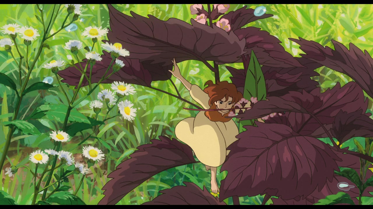 Karigurashi no Arrietty / Аниме