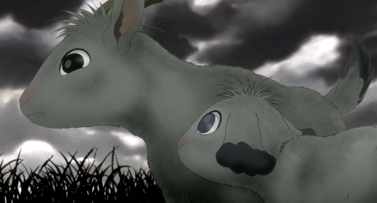 Arashi no Yoru ni / Аниме