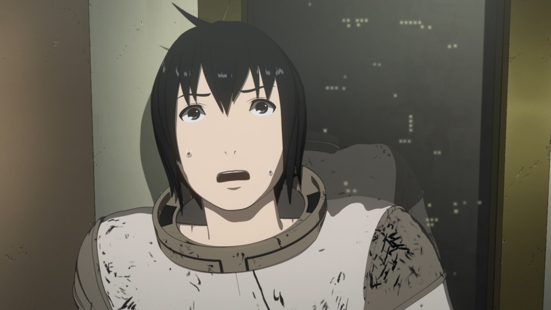 Sidonia no Kishi Movie / Аниме