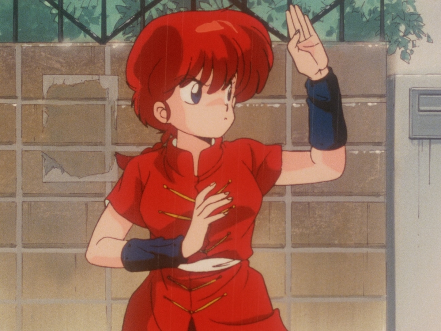 Ranma ½ / Аниме