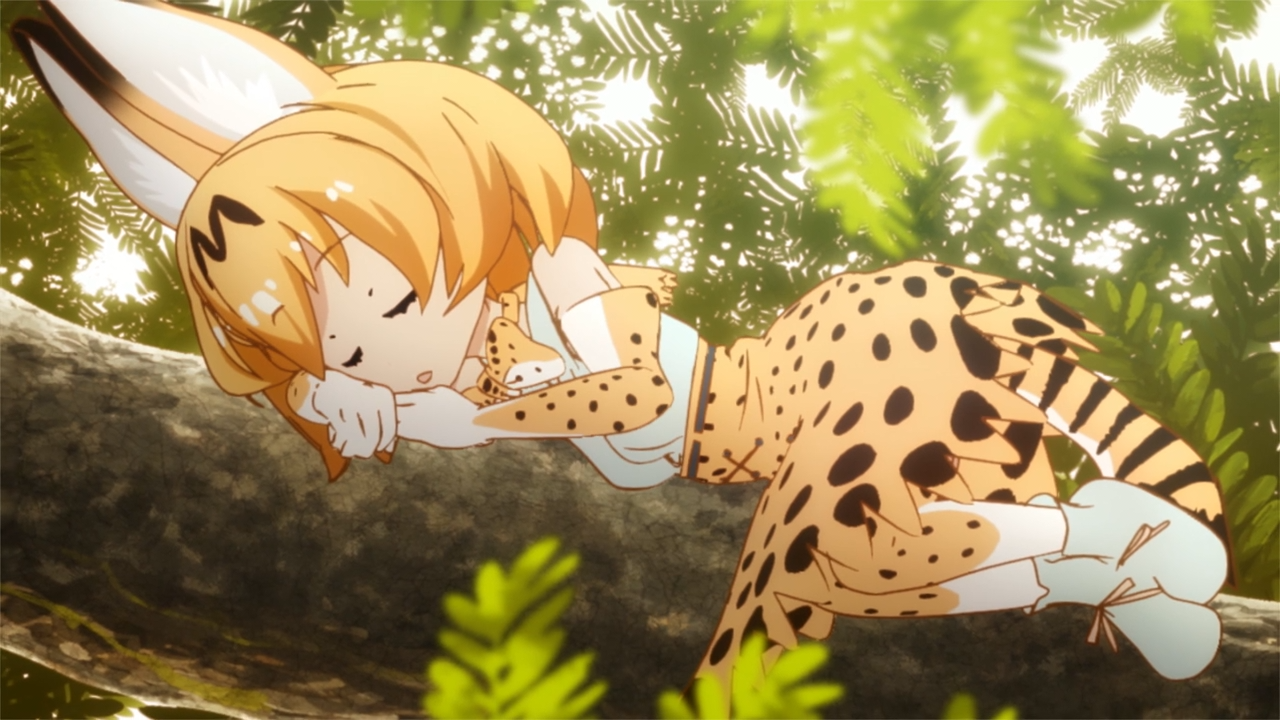 Kemono Friends / Аниме