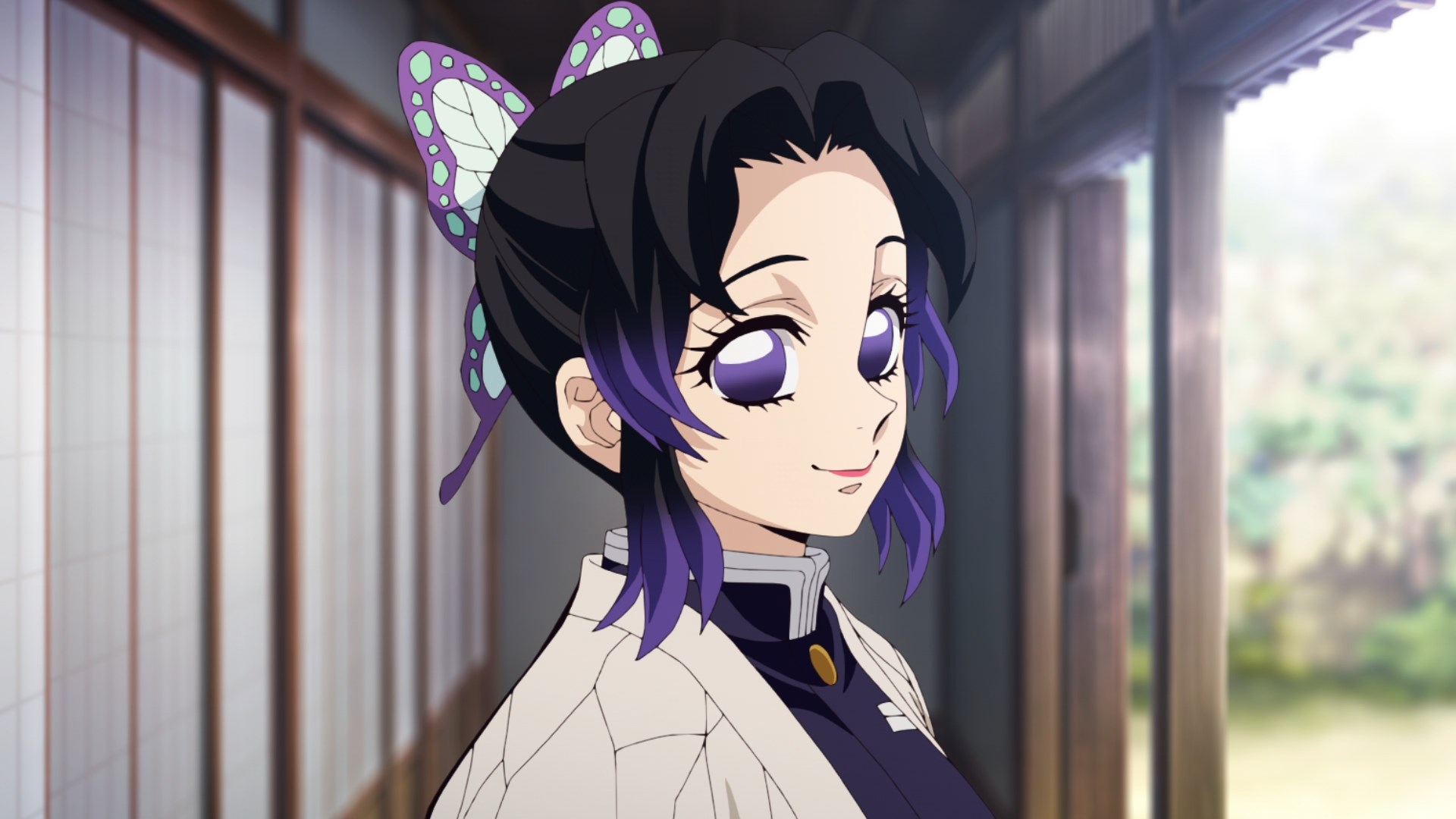 Kimetsu no Yaiba: Hashira Geiko-hen / Аниме