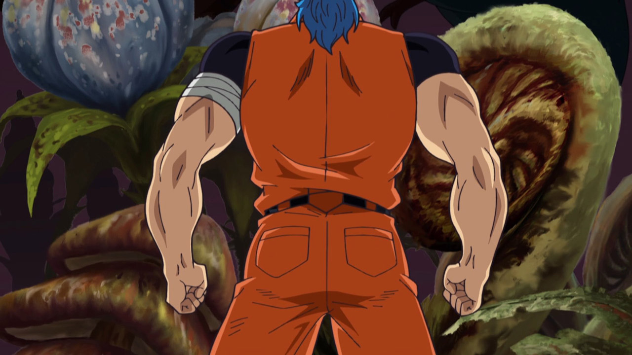 Toriko / Аниме