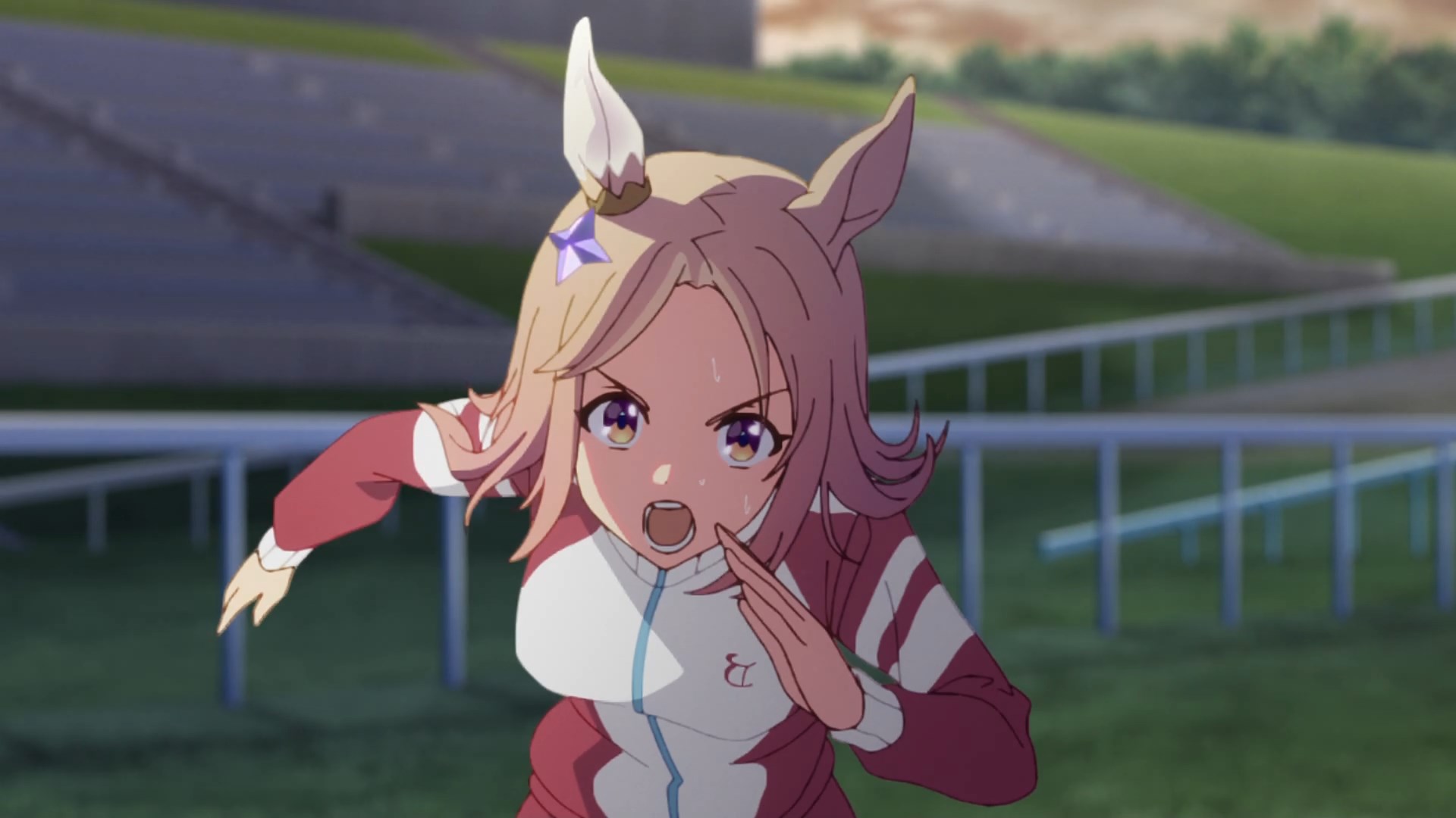 Uma Musume: Pretty Derby - Road to the Top / Аниме