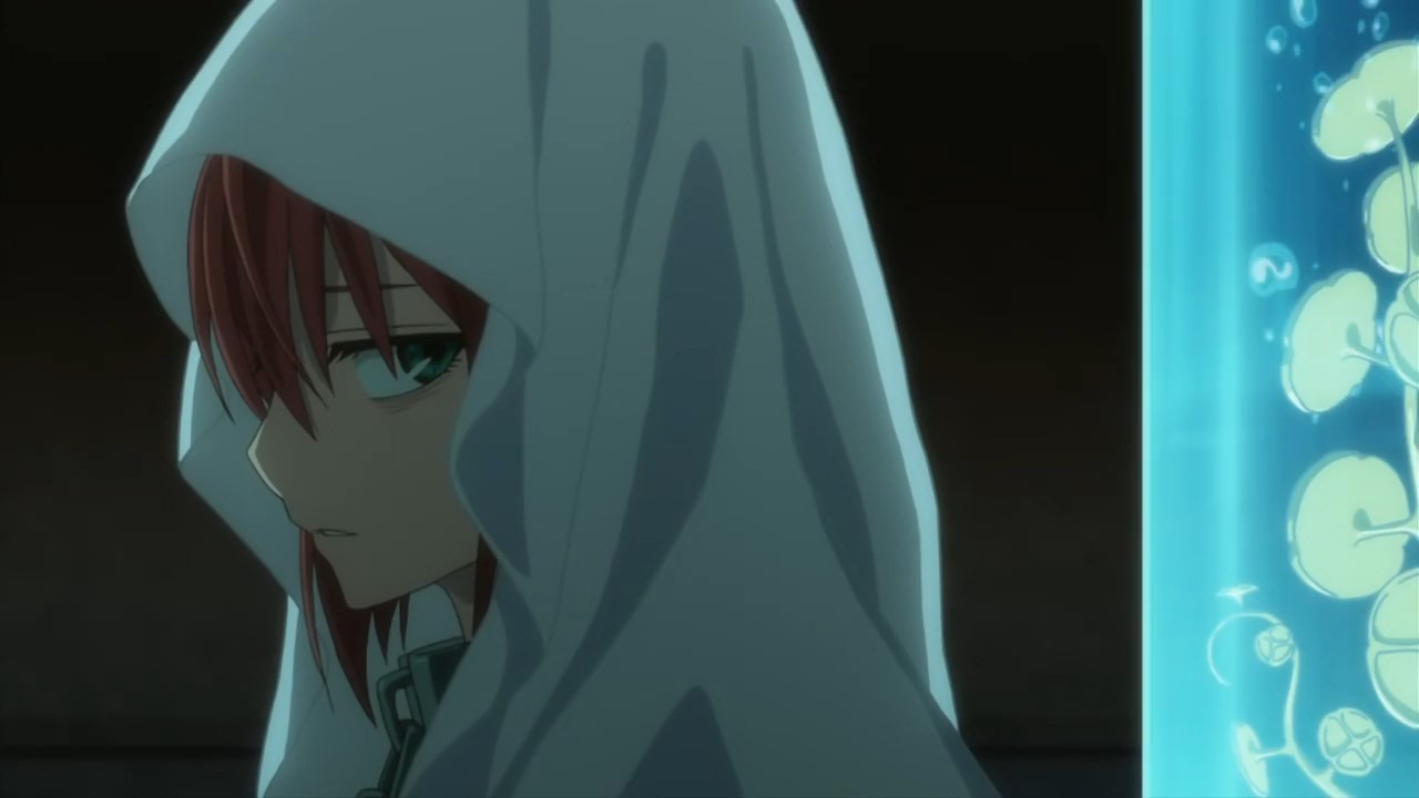 Mahoutsukai no Yome Recap / Аниме