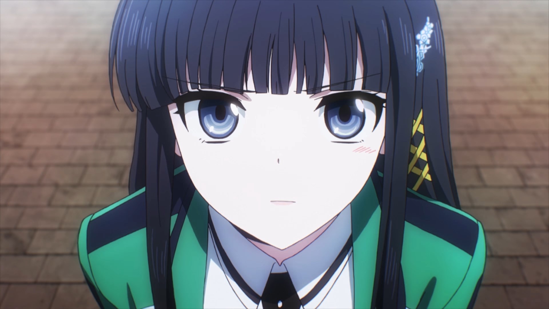 Mahouka x Mameshiba / Аниме