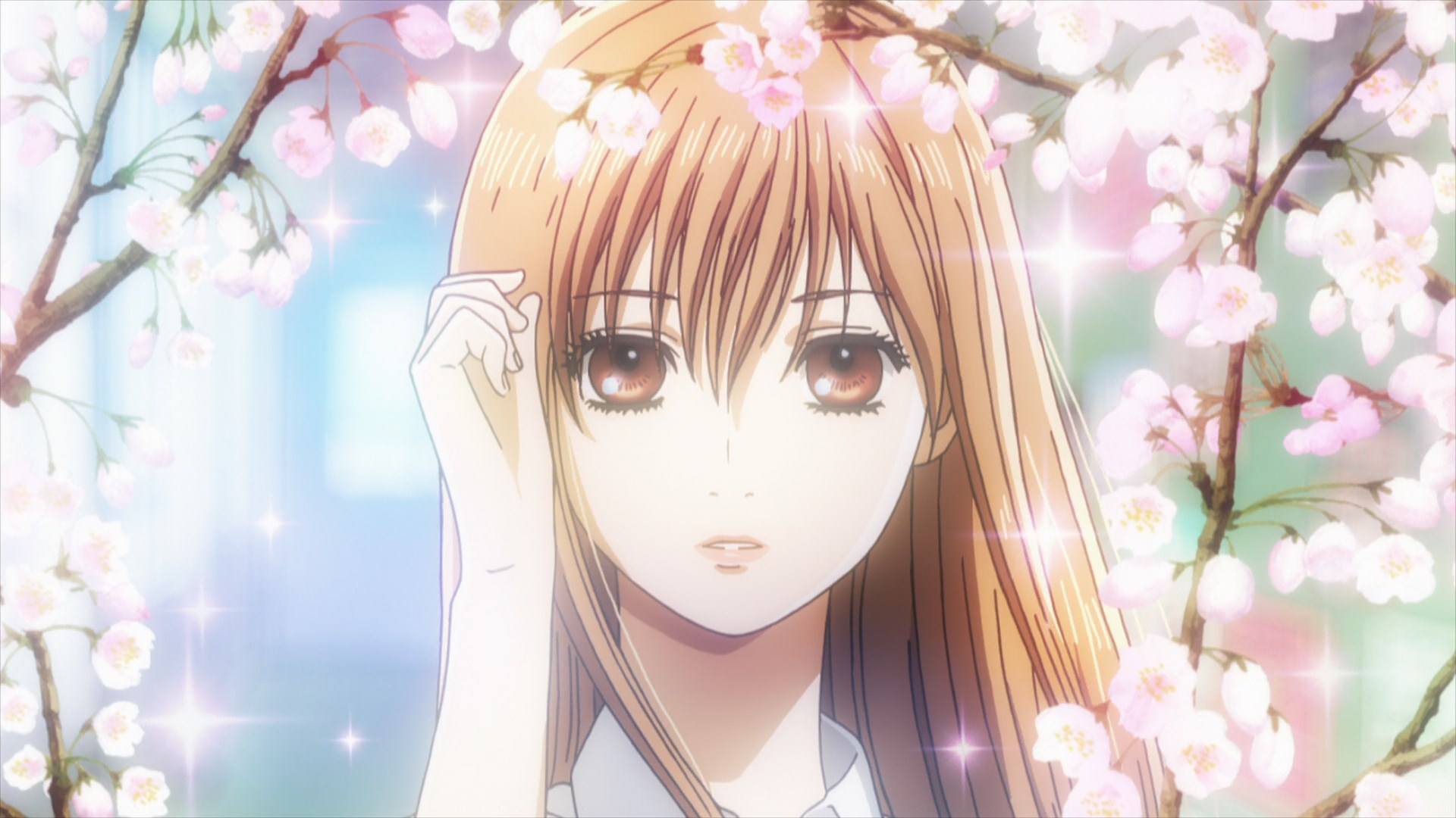 Chihayafuru / Аниме