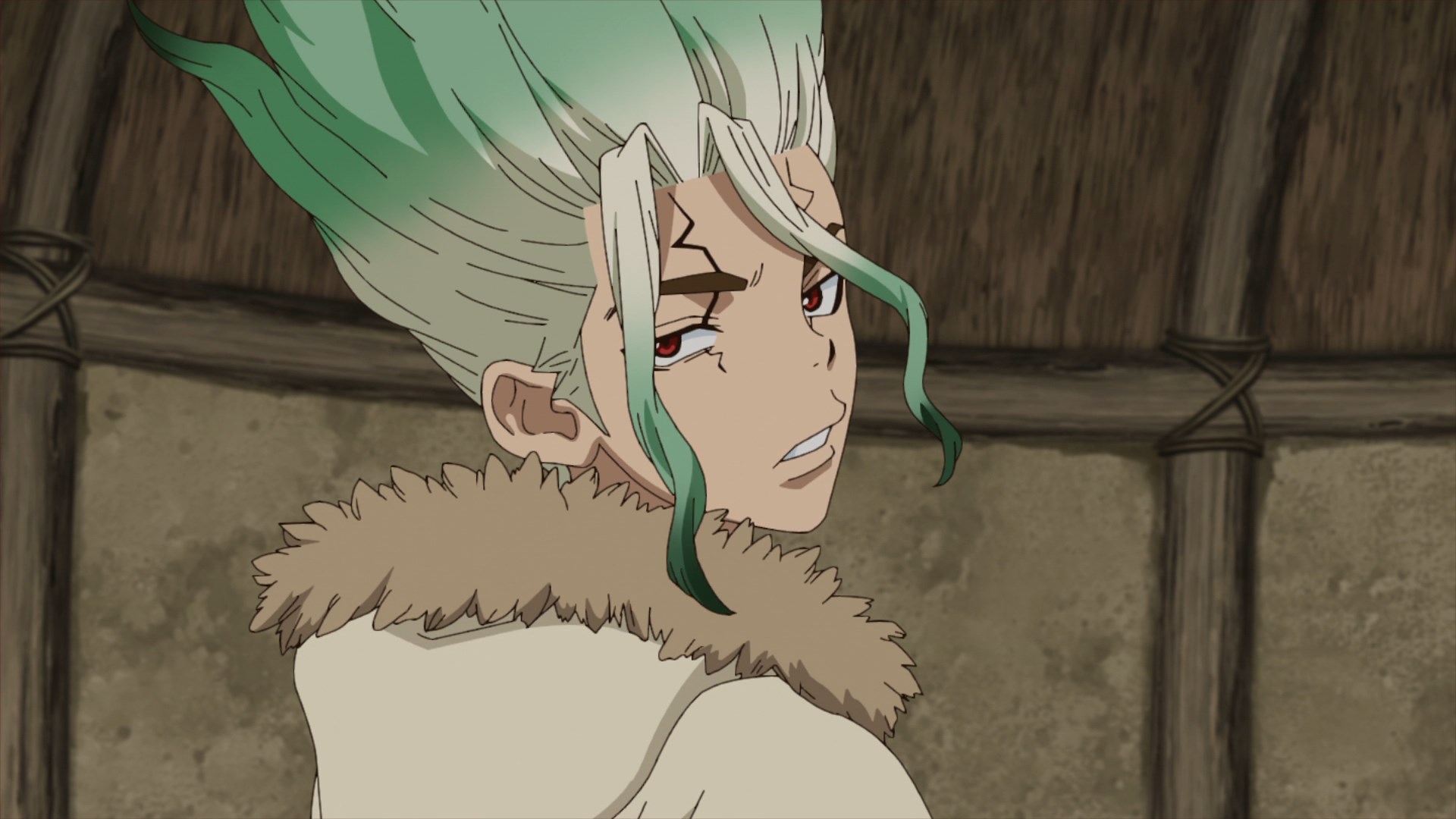 Dr. Stone: Stone Wars / Аниме