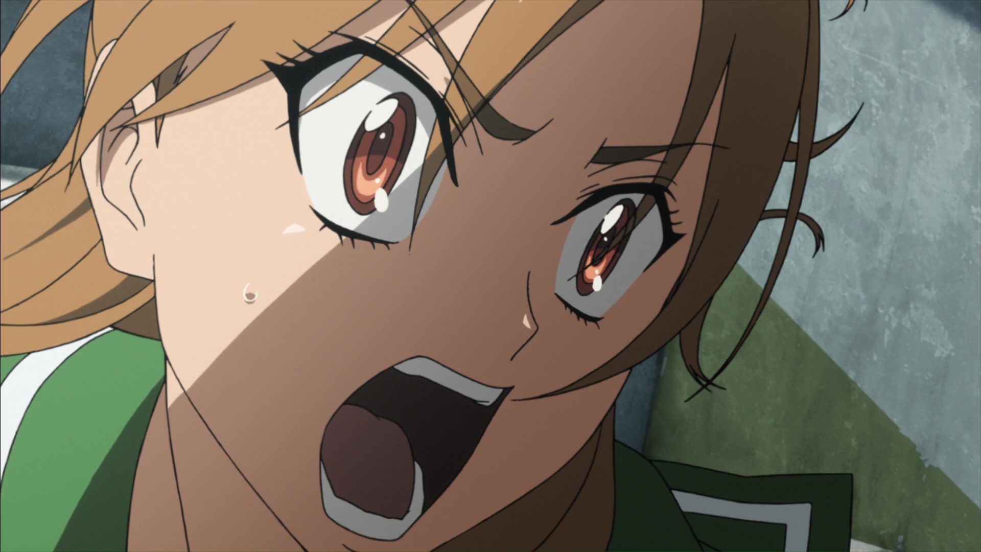 Highschool of the Dead / Аниме