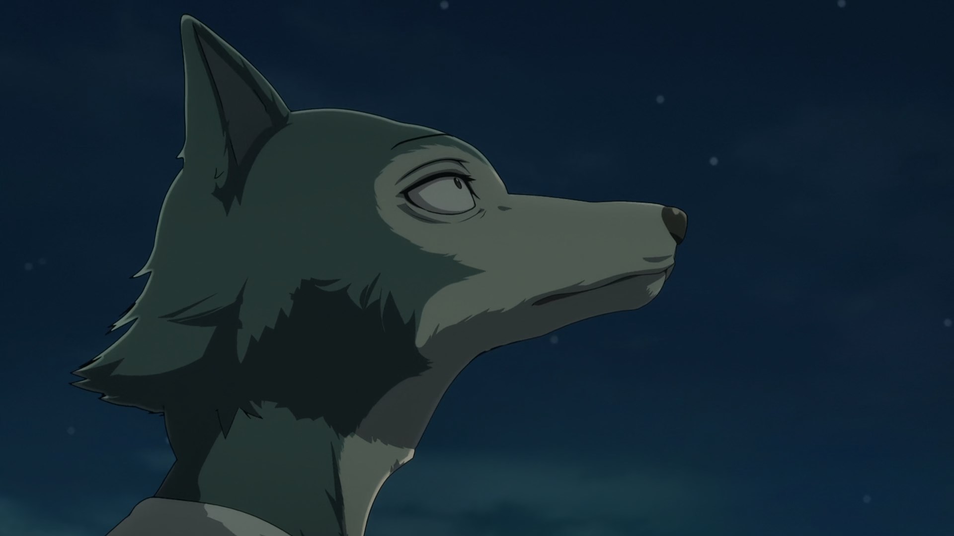 Beastars 2nd Season / Аниме