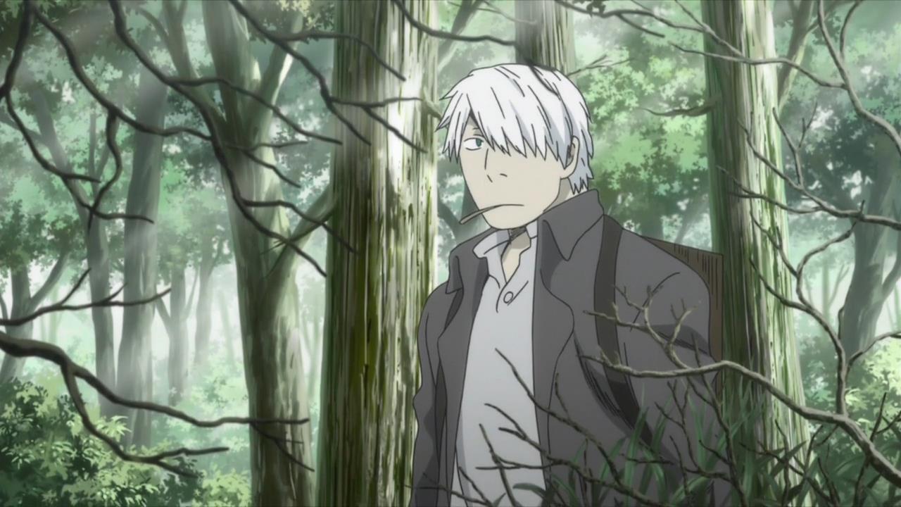 Mushishi Zoku Shou: Odoro no Michi / Аниме