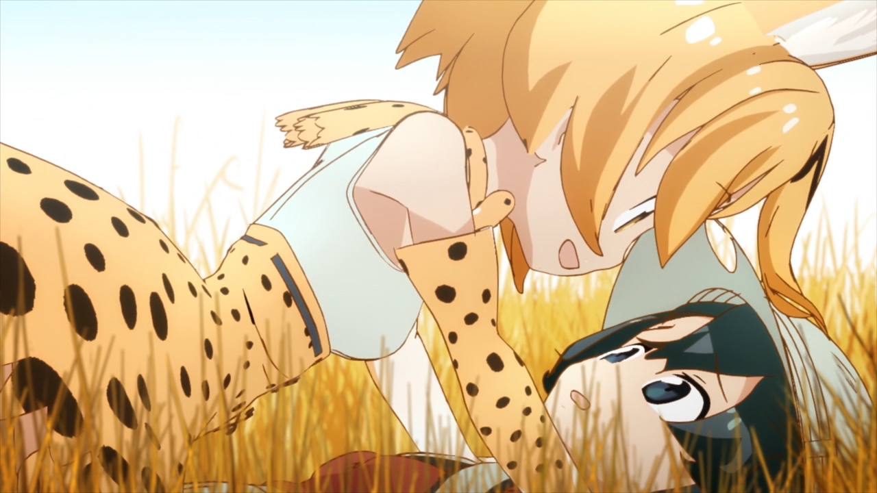 Kemono Friends / Аниме