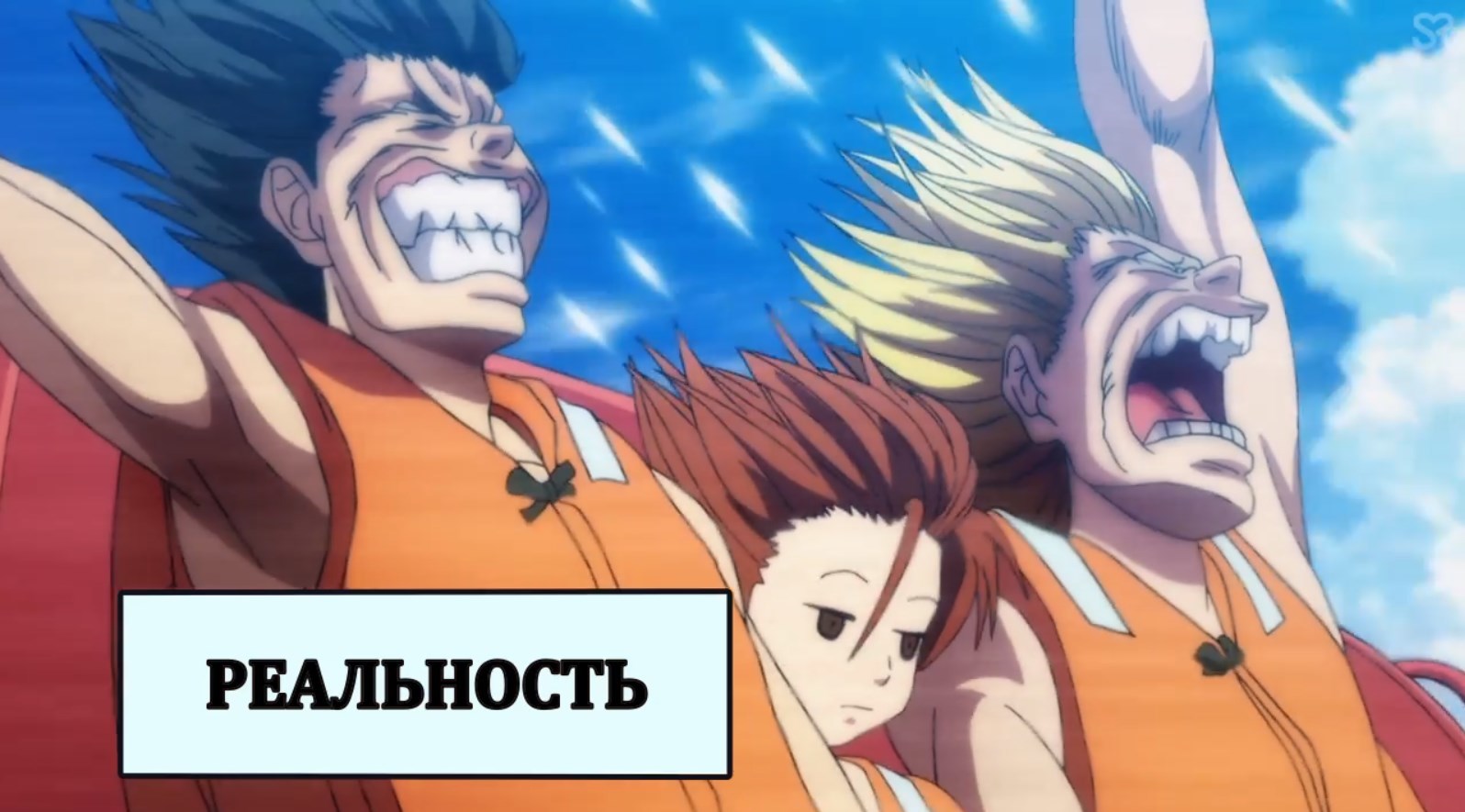 Отзывы / Grand Blue / Аниме