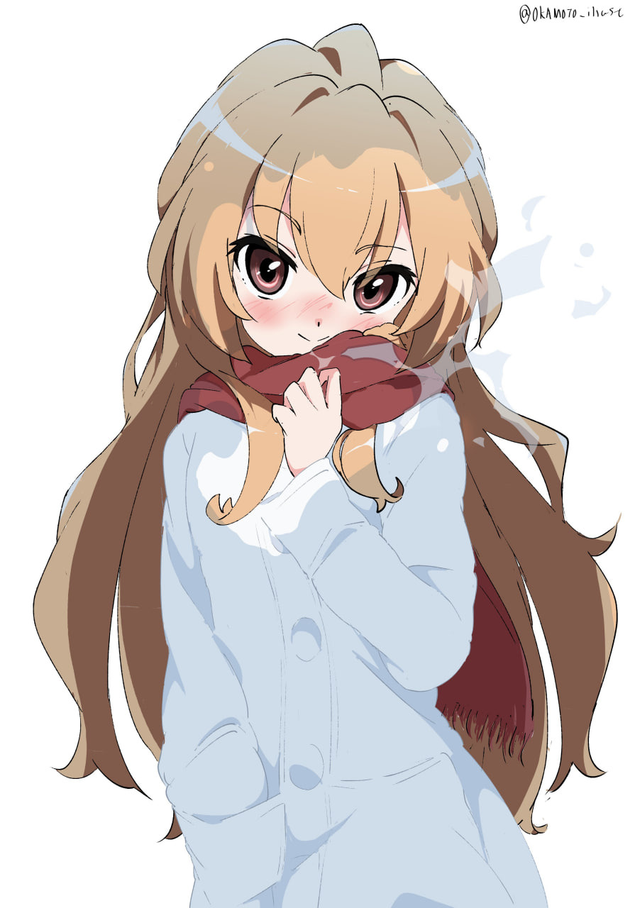 Taiga Aisaka / Персонаж