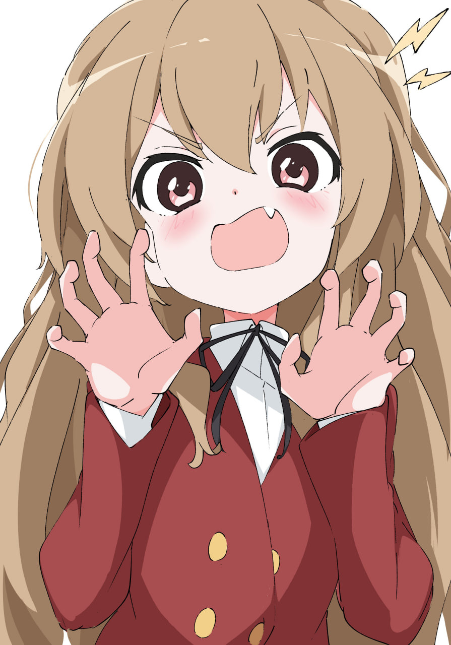 Taiga Aisaka / Персонаж