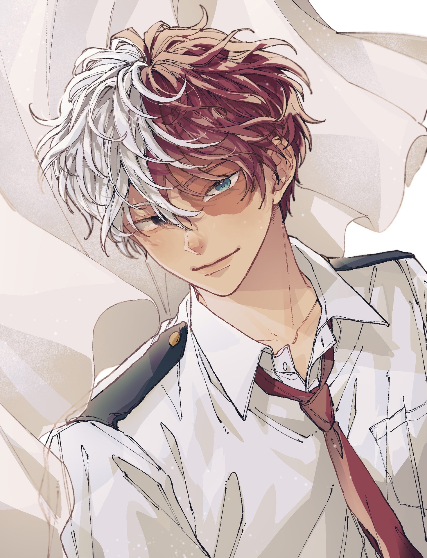 Shouto Todoroki / Персонаж