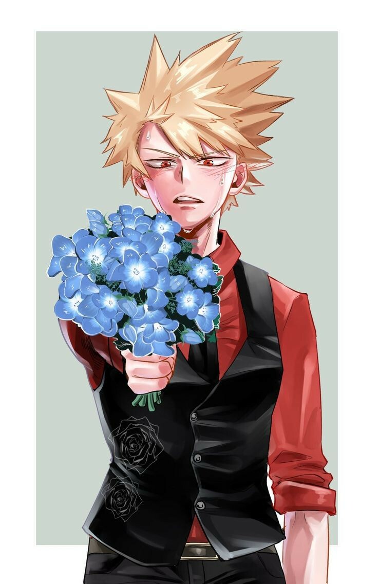 Katsuki Bakugou / Персонаж