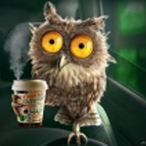 forest-owl