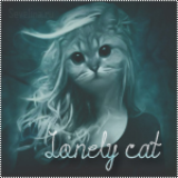 Lonely cat