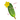 green_cucumber