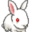 Rabbit_Lucifer