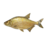 Riba․gif