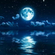 Moonlight641