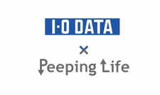 Сложности жизни x I-O Data