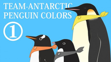 Nankyoku Penguin Colors