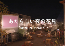 «Бонусный трек»: Новое ночное любование цветущей сакурой