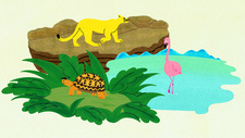 Черепаха, пума и фламинго
