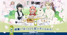 Ayataka Spy x Family Movie Campaign Ayataka de Hotto Hitoiki