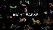 Ночное сафари