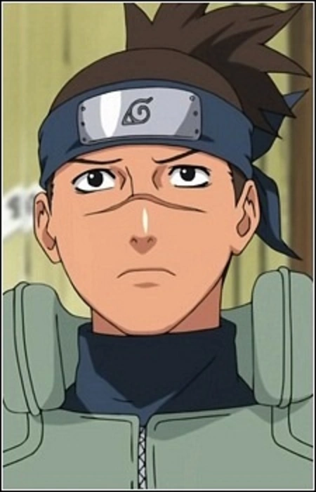 Iruka Sensei, Wiki