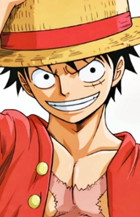      One Piece Wiki  Fandom