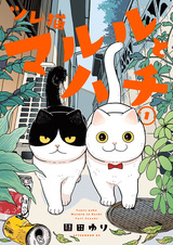 Коты-товарищи: Маруру и Хати