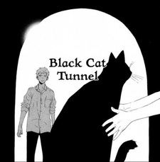 Тоннель чёрной кошки