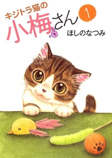 Коричневая полосатая кошка Комэ
